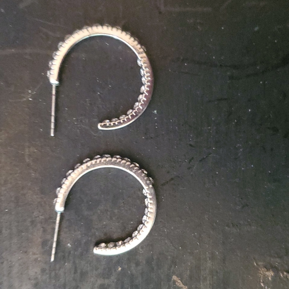Stainless steel silver hoop earrings